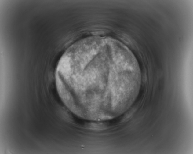 X0000084000367200703091911