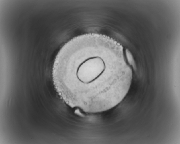 X0000084000370200703091911