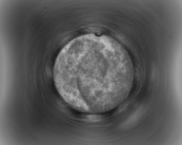 X0000084000371200703091911