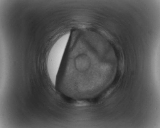 X0000084000376200703091911