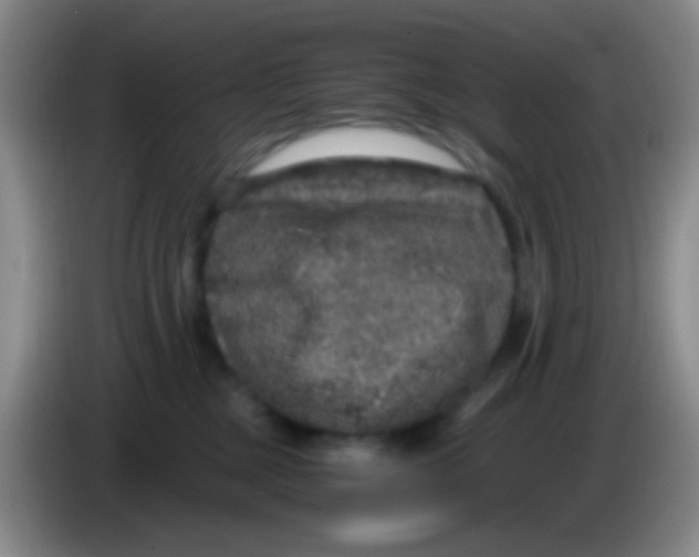X0000084000377200703091911