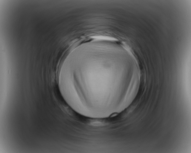 X0000084000380200703091911