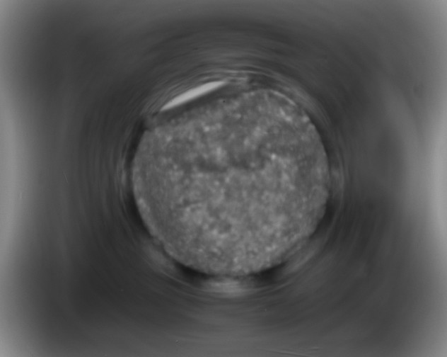 X0000084000381200703091911