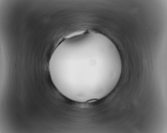 X0000084000384200703091911