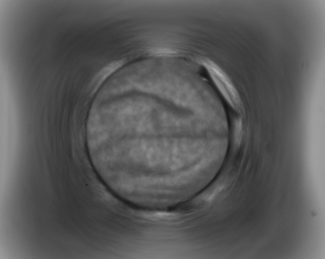 X0000084000385200703091910