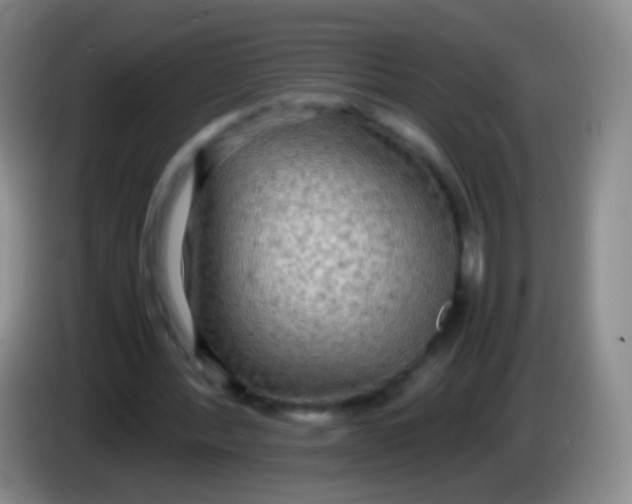 X0000084000388200703091910