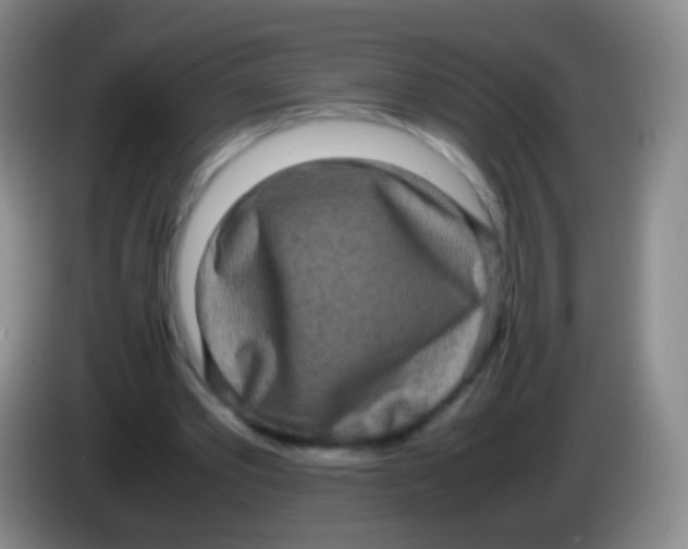 X0000084000389200703091910