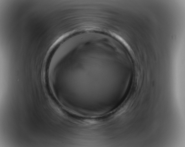 X0000084000391200703091910