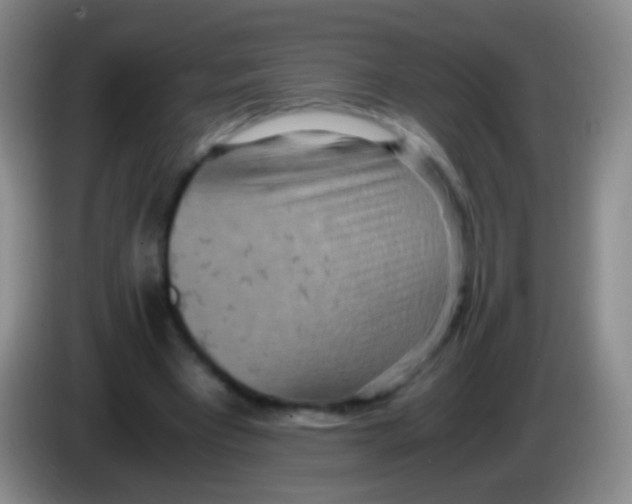 X0000084000393200703091910