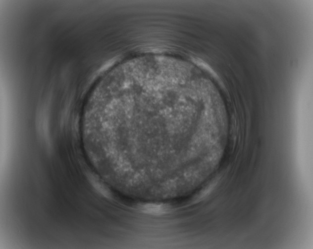 X0000084000394200703091910