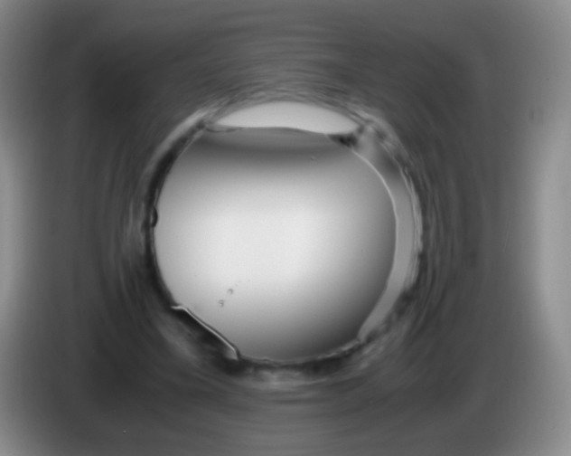 X0000084000395200703091910
