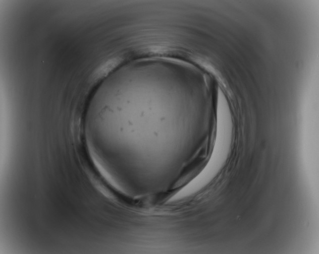 X0000084000397200703091910