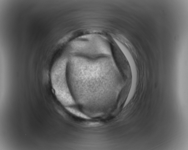 X0000084000401200703091910