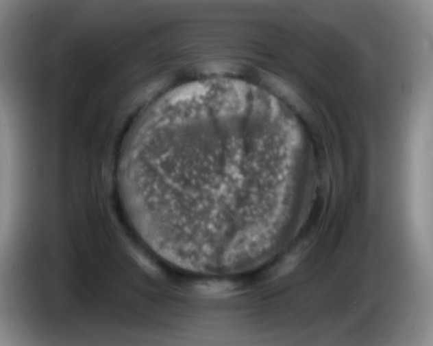 X0000084000402200703091910