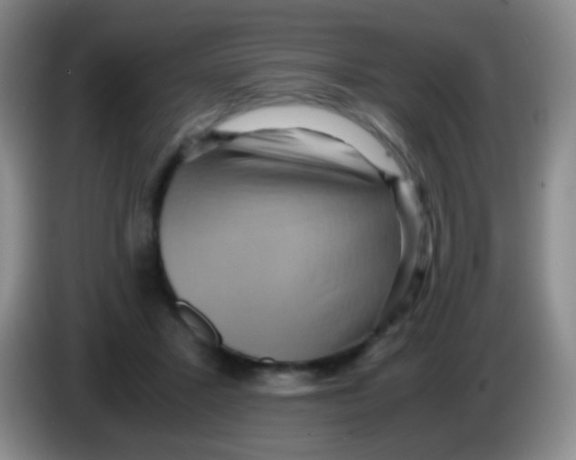 X0000084000407200703091910