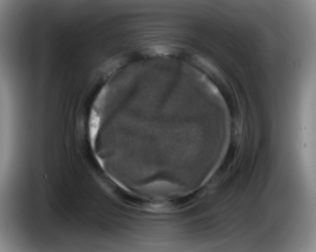 X0000084000410200703091910