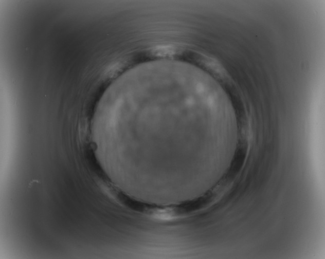 X0000084000411200703091910