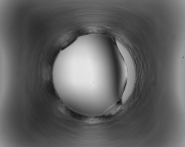 X0000084000413200703091910