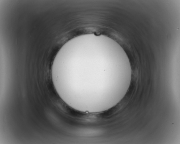 X0000084000418200703091910