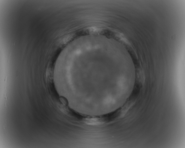 X0000084000419200703091910