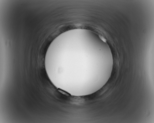 X0000084000421200703091910