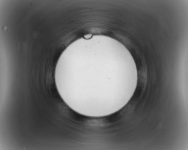 X0000084000422200703091910