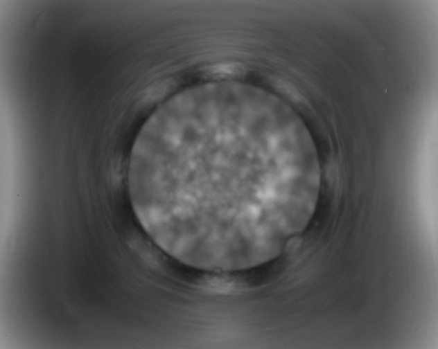 X0000084000423200703091910