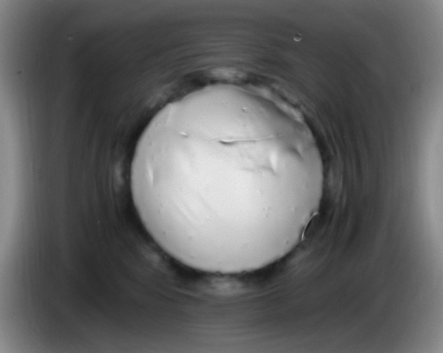 X0000084000424200703091910