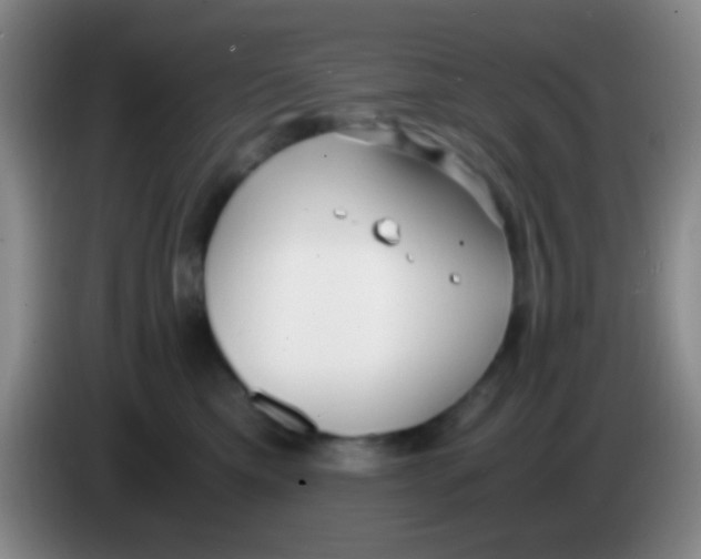X0000084000425200703091910