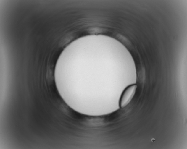 X0000084000426200703091910