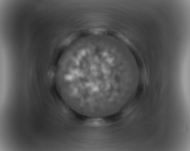 X0000084000427200703091910