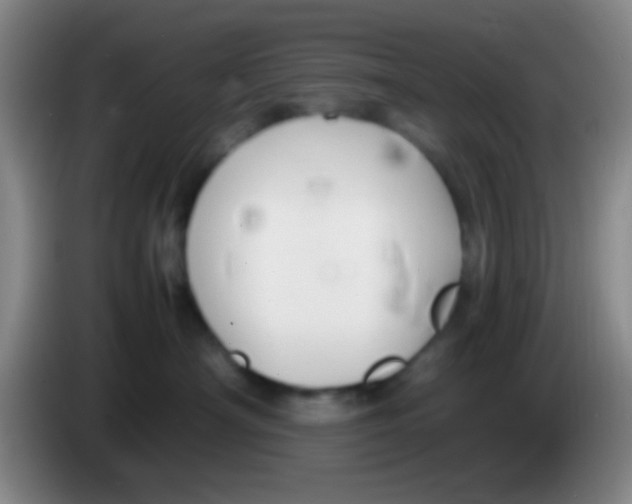 X0000084000430200703091910