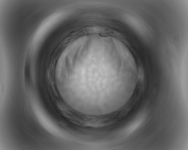 X0000084000431200703091910