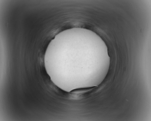 X0000084000432200703091910