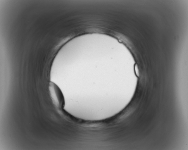 X0000084000433200703091909