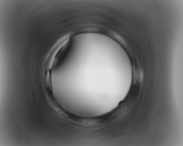 X0000084000435200703091909