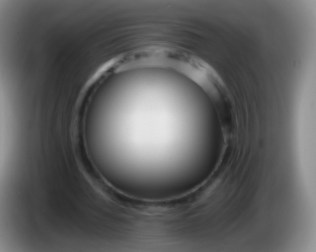 X0000084000436200703091909