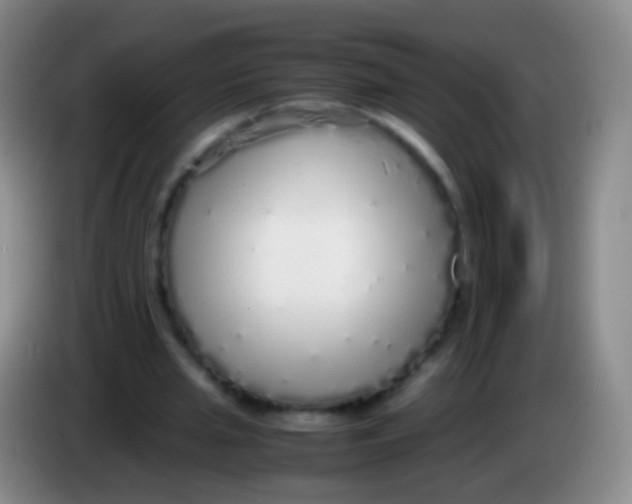 X0000084000437200703091909