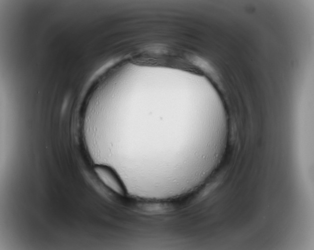 X0000084000439200703091909