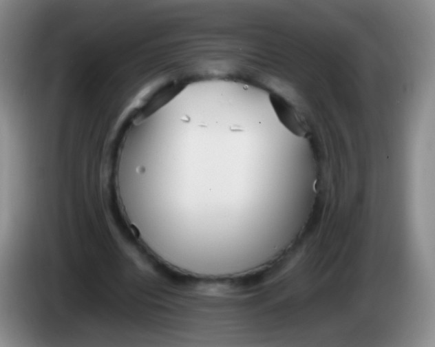 X0000084000440200703091909