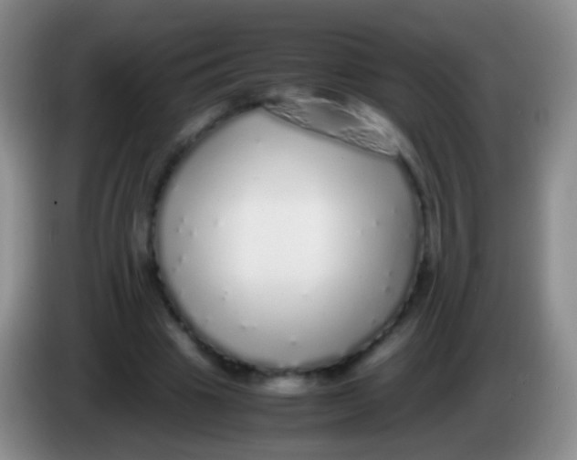 X0000084000441200703091909