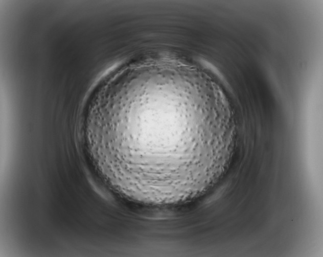 X0000084000443200703091909