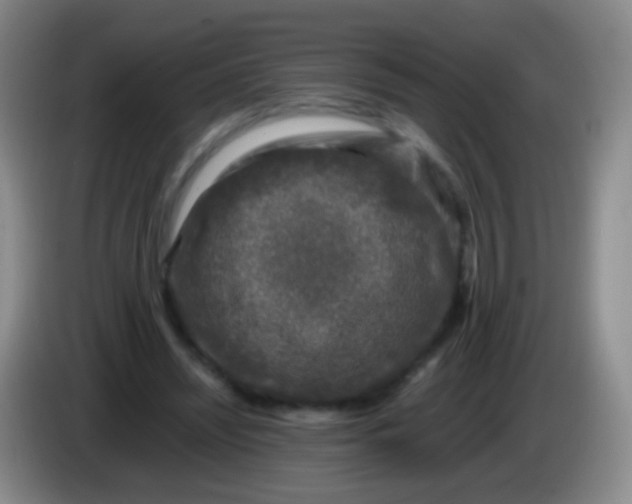 X0000084000444200703091909