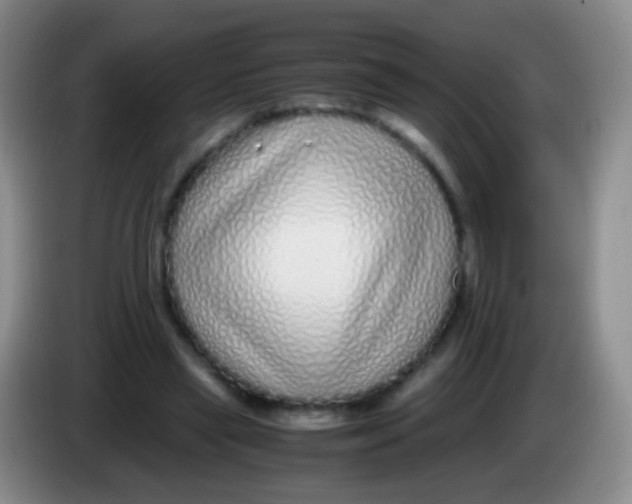 X0000084000445200703091909