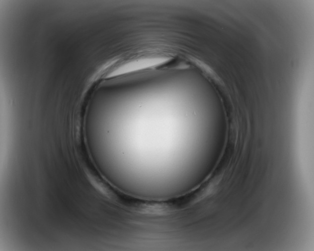 X0000084000446200703091909