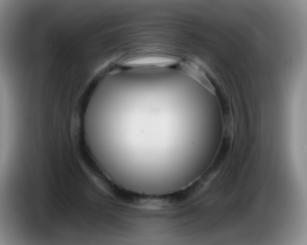 X0000084000448200703091909
