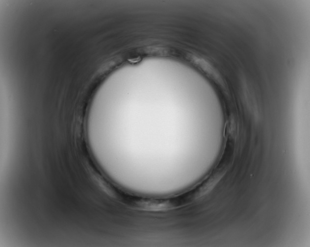 X0000084000449200703091909