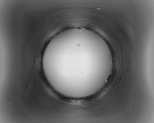 X0000084000450200703091909