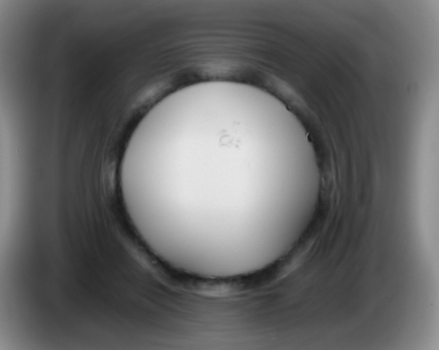 X0000084000454200703091909