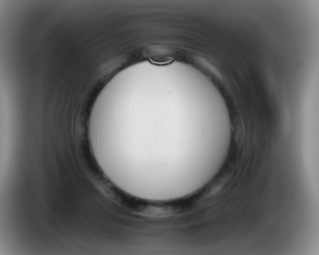 X0000084000455200703091909